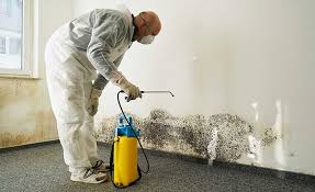 Mold Remediation for Vacation Homes in Wildwood, FL