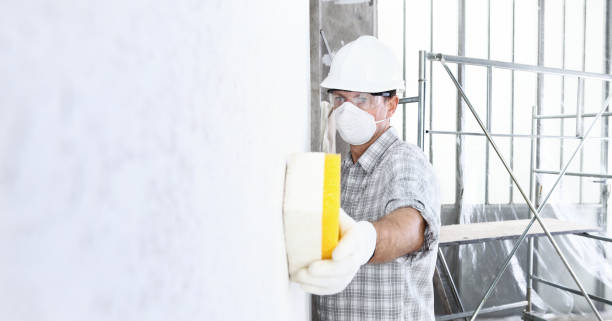 Wildwood, FL Mold Removal Services Company